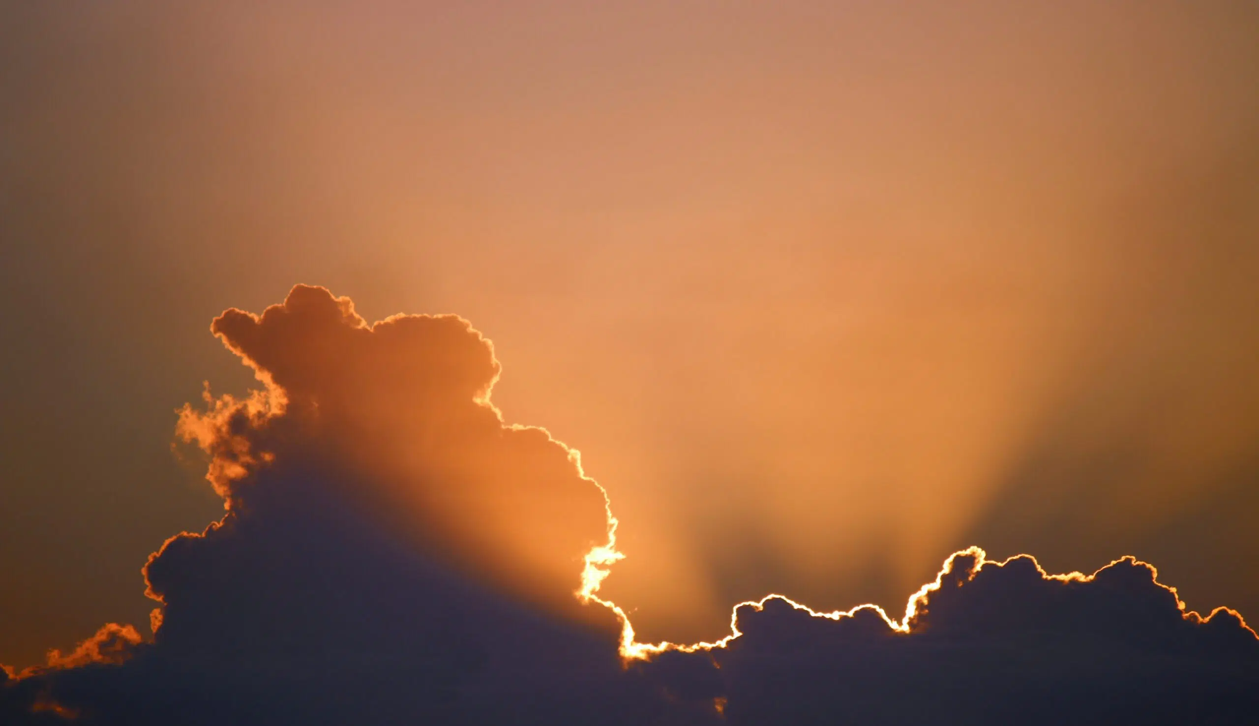 rayons du soleil au cœur de l'énergie photovoltaïque